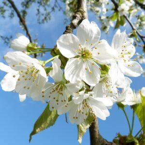 2022 Frühjahrstagung